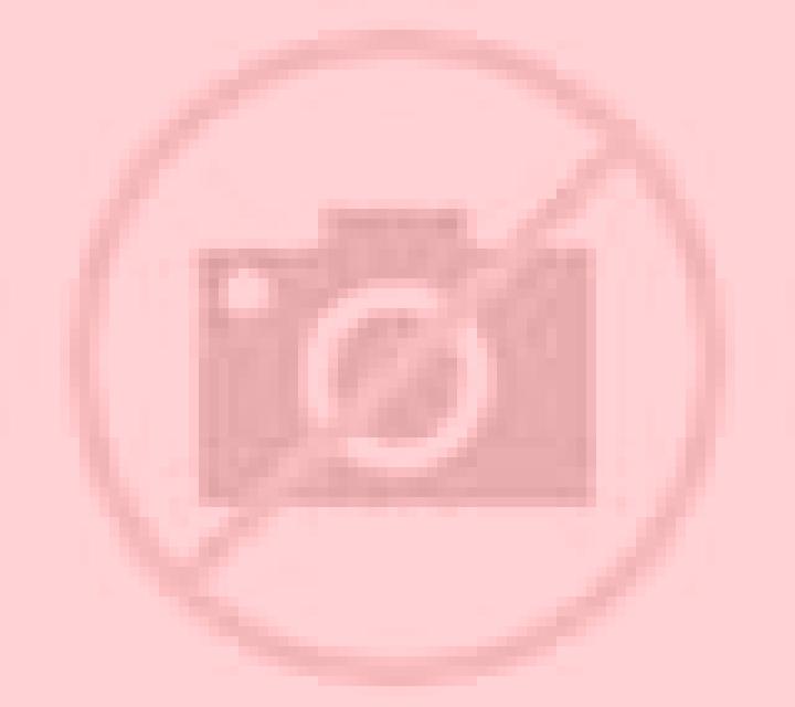 Rosa 3 Preixens escort
