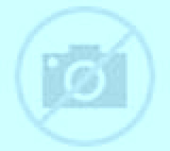 Rosa Blanca escort