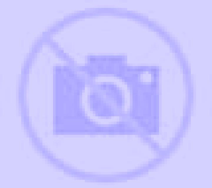 Rosa Miedes de Atienza escort