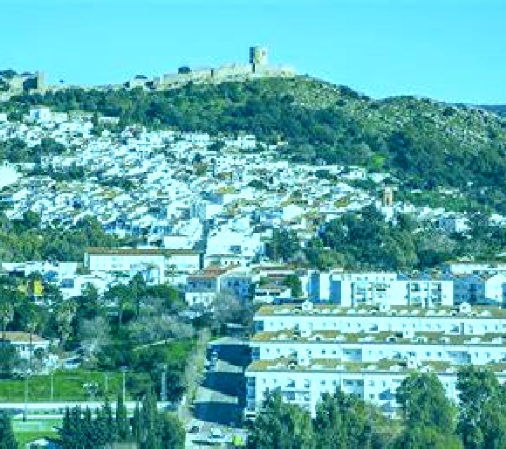 Salma 3 Lezo escort
