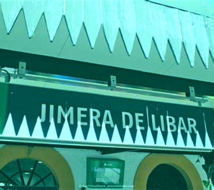 Sara Monreal del Llano escort