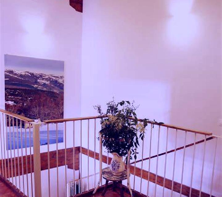 Sara Monterroso escort