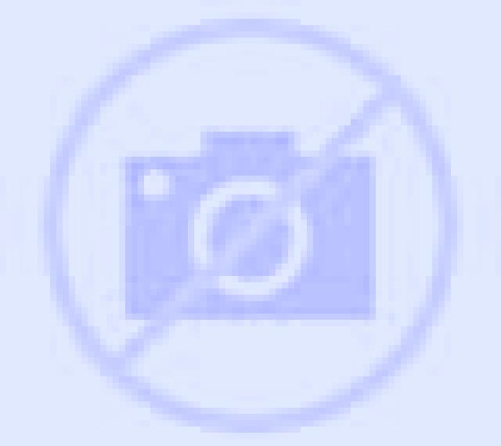 Sara Revilla de Collazos escort