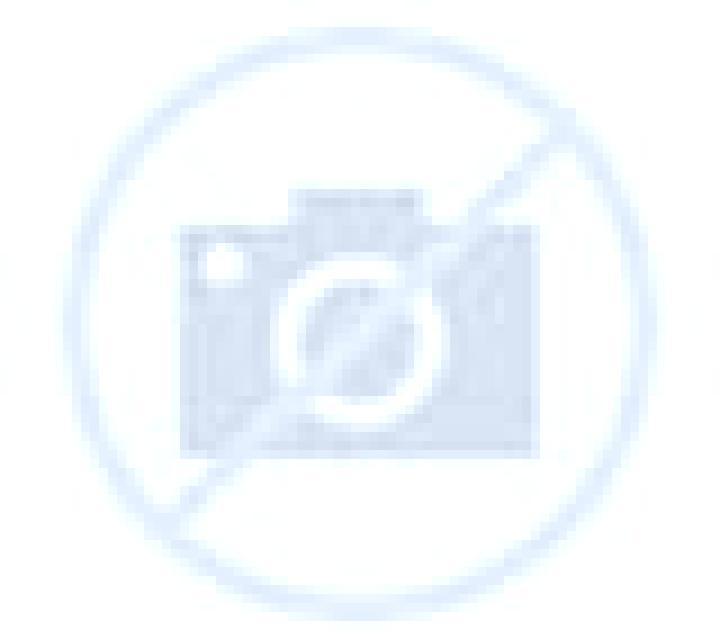Sara Torrecampo escort