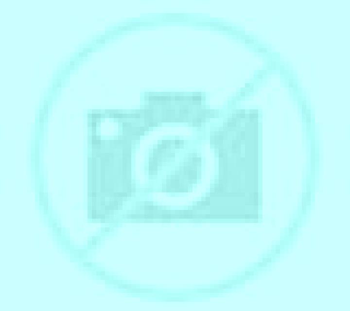 Selene 2 Tolox escort