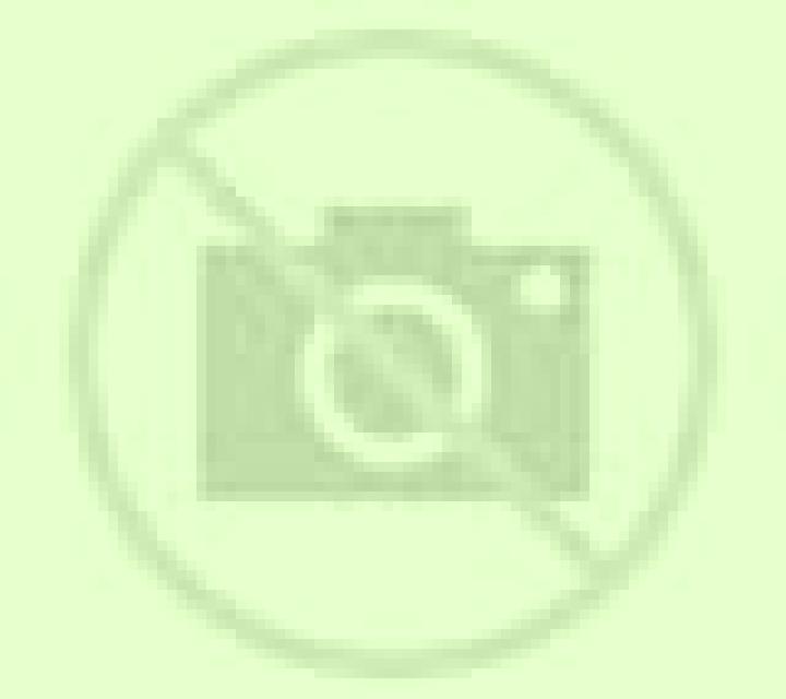 Selene Villabraz escort