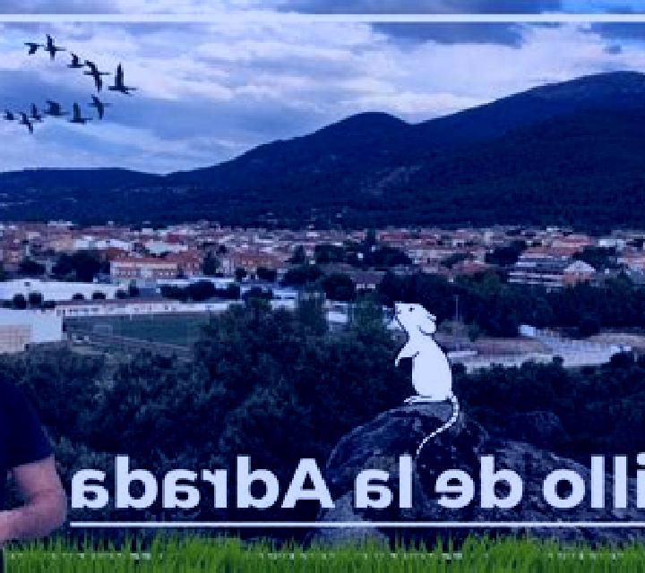 Sofía 2 Zaldibar escort