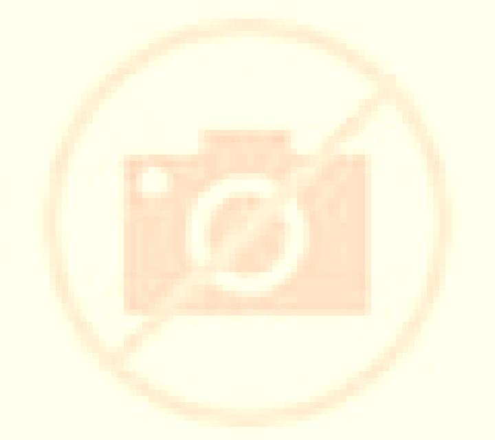 Valentina Canizo escort