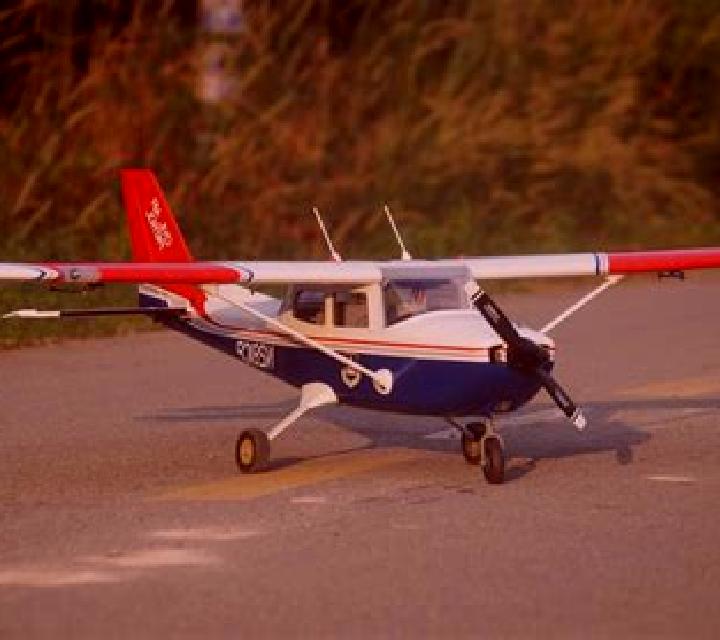 Valeria Campina escort