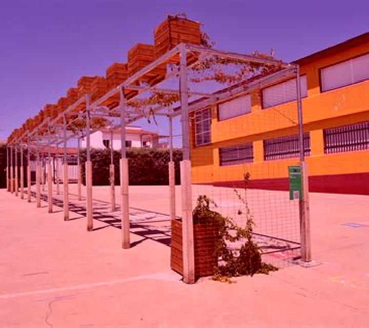 Vega 3 Santa Coloma escort