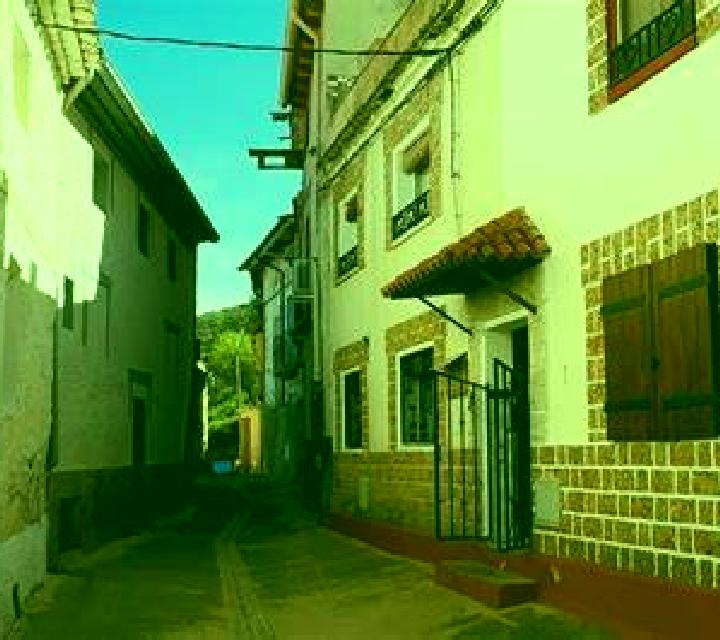 Vega Castejon de las Armas escort