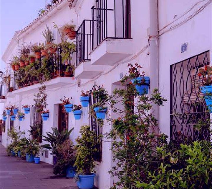 Verónica 3 Cubo de la Solana escort