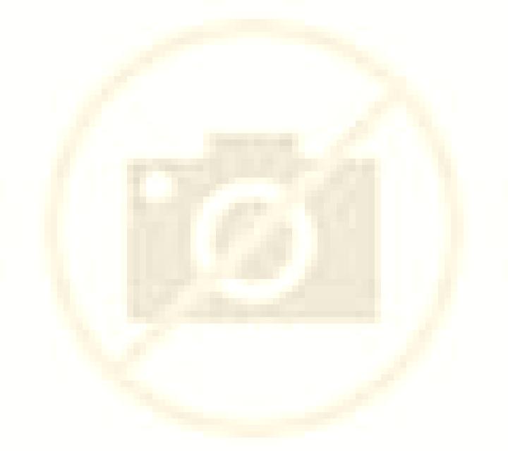 Ximena Anna escort