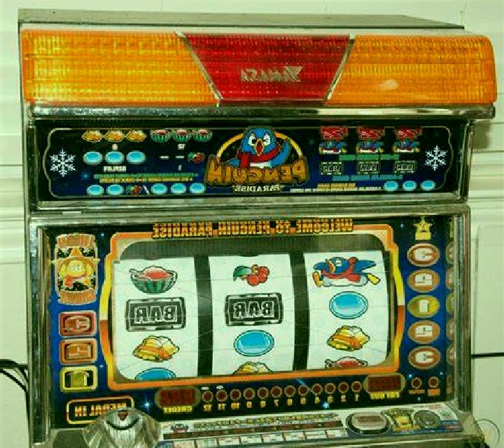 Ximena Cabanelles escort