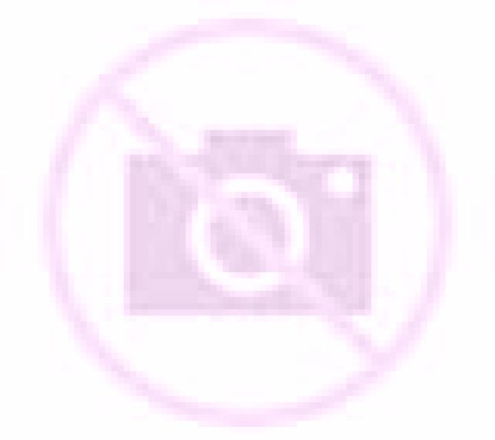 Ximena Canales escort