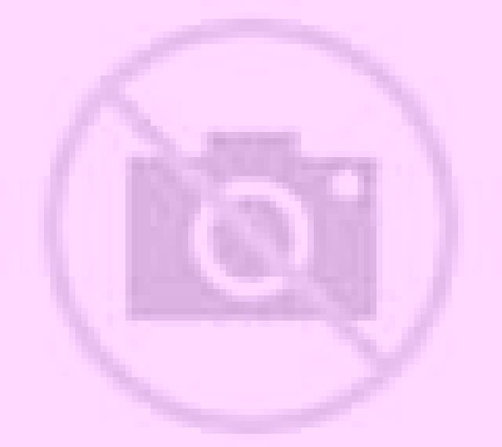 Ximena Cortes escort