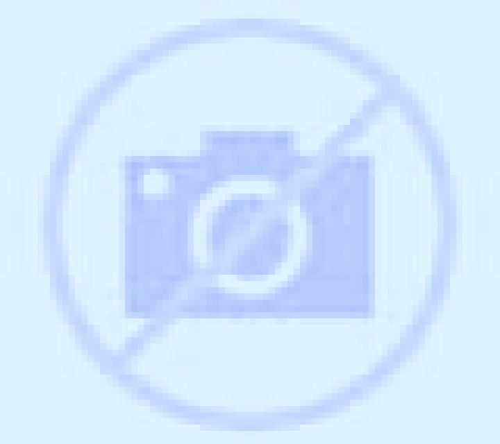 Ximena Viladasens escort