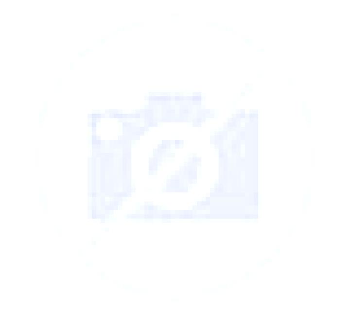 Ximena Villangomez escort