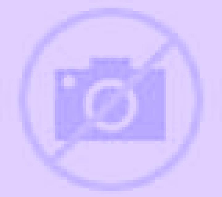 Zara 2 Asin escort