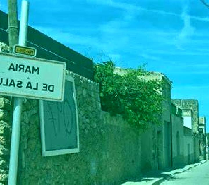 Zara 3 Almenara escort