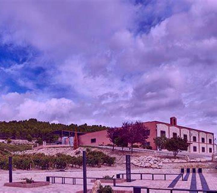 Zara 3 Torrox escort